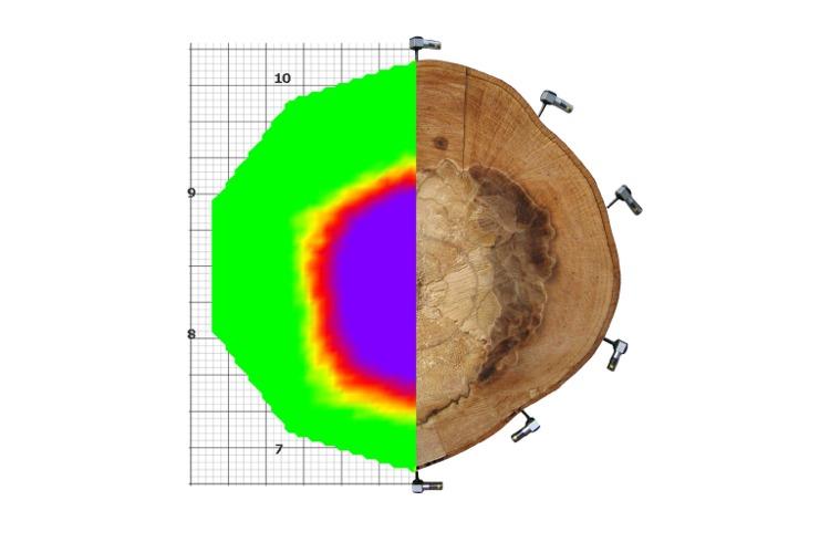 ArborSonic 3D Acoustic Tomograph